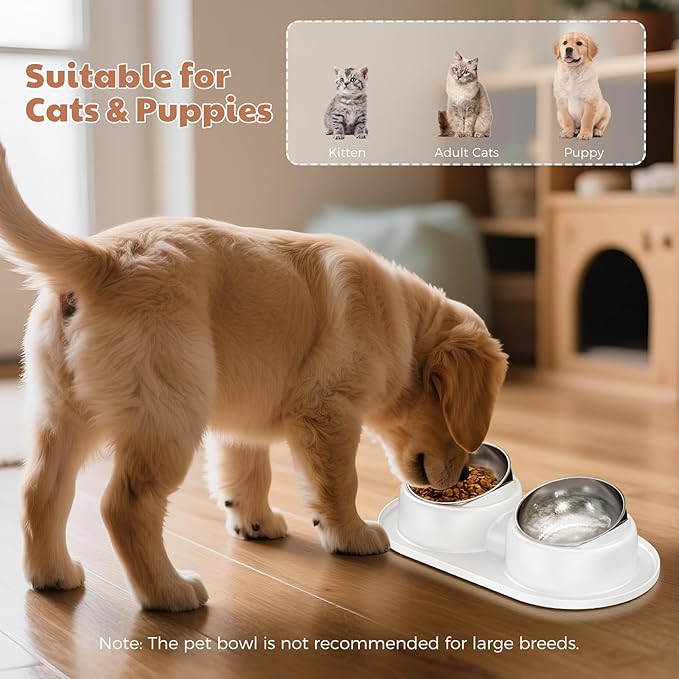 Cat Bowls, Tilted Cat Food and Water Bowl Set Anti Vomiting, Stainless Steel Dog Food Bowl with Base, Non-Slip Pet Feeder Bowls for Puppy Small Dogs Cats