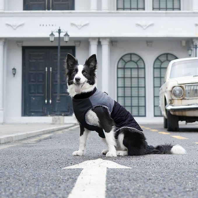 Warm Fleece Dog Coats for Small Dogs,D-Rings Waterproof Puppy Jacket for Cold Winter,Black M