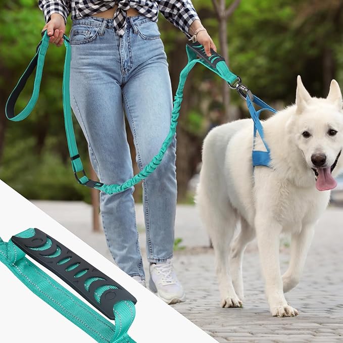 Heavy Duty Dog Leash for Medium Large Dogs That Pull,4-6FT Shock Absorbing Bungee Tactical Dog Leash with Control Padded Handle and Car Seatbelt, Reflective Lead for Walking Training,Teal