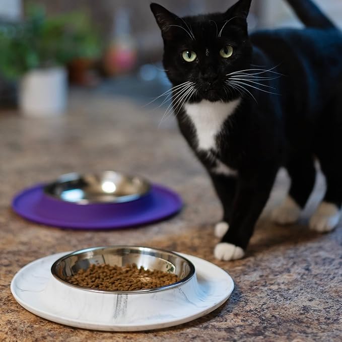 Messy Cats Single Silicone Feeder with Stainless Saucer Shaped Bowl | Anti-Slip Non-Skid Cat Food Bowl | One Cat Bowl in Feeding/Water Station | 1.75 Cups (Grey)