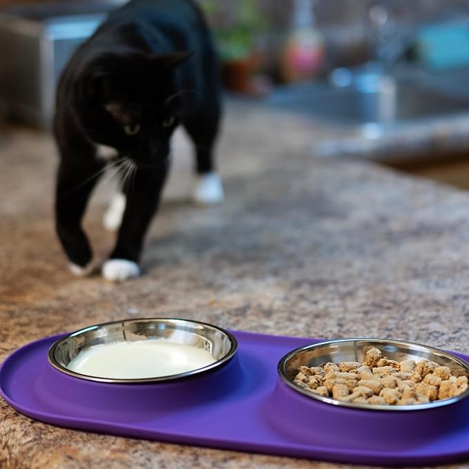 Messy Cats Double Silicone Feeder with Stainless Saucer Shaped Bowl | Anti-Slip Non-Skid Cat Food Bowls | Two Cat Bowls in Feeding/Water Station | 1.75 Cups per Bowl (Purple)