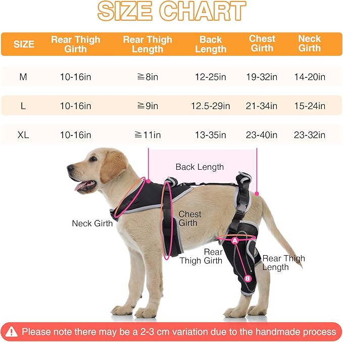 Dog Knee Support for ACL Tear Rehabilitation and Dislocated Patella -Adjustable Leg Support and Sufficient Breathability,Injury Recovery and Balance Assistance-Left Leg-M Size