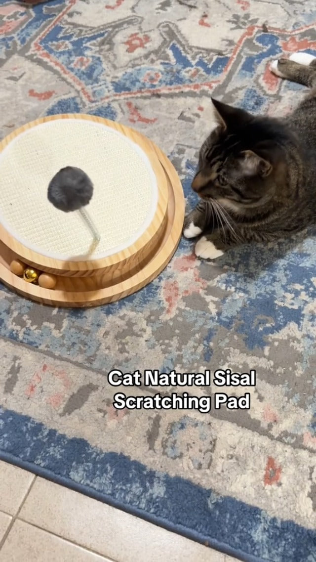 Interactive sisal cat scratcher with ball track - image 8