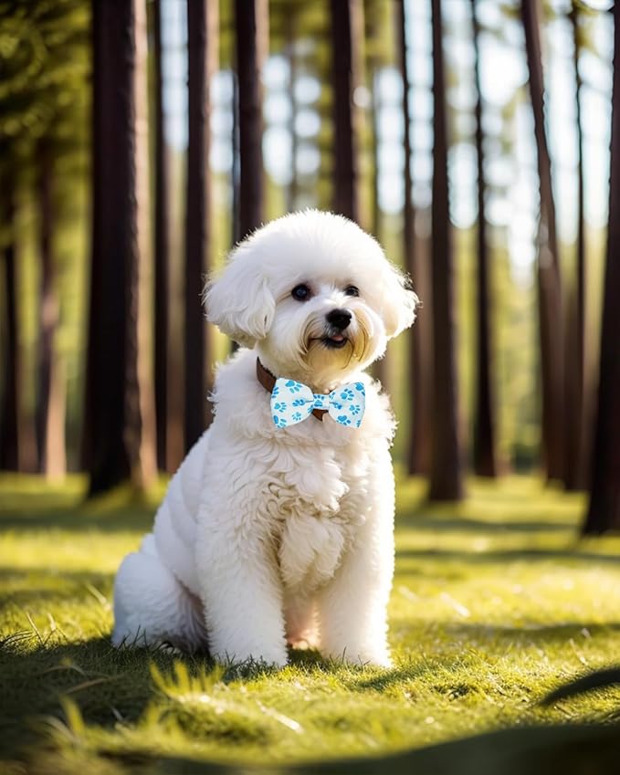 PET SHOW 10 Pack Paw Small Dog Bow Ties Sliding Collar Attachments Puppy Cats Bone Bowties for Medium Dogs Cute Bowknots Wedding Party Holiday Pet Grooming Accessories(Small)