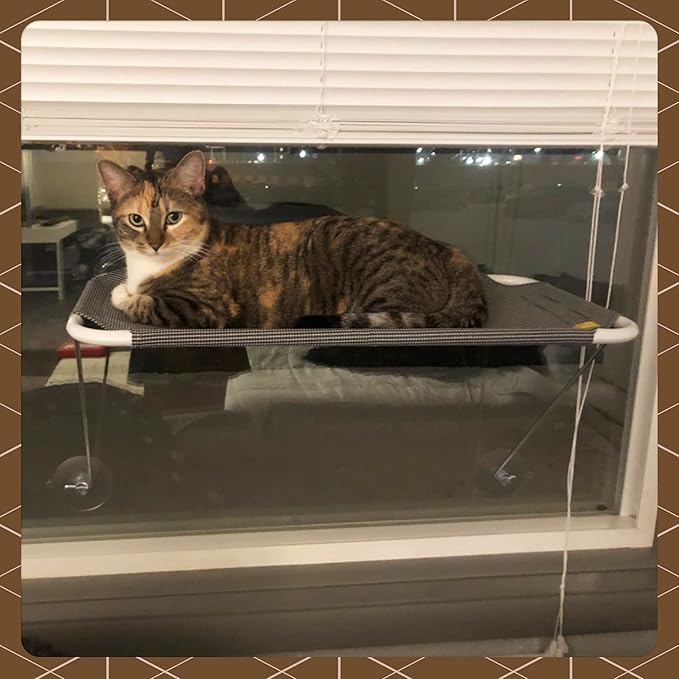 All Around 360° Sunbath and Lower Support Safety Iron Cat Window Perch, Cat Hammock Window Seat for Any Cats (M, Gold)