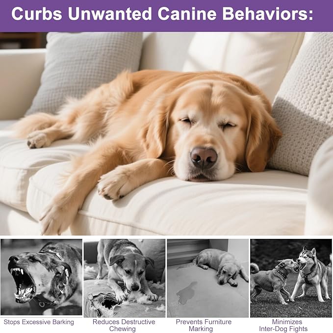 Dog Calming Pheromone Diffuser 6 in 1 Kit, Relieve Separation Anxiety, Stress Barking & Chewing,Dog Appeasing Pheromone Diffuser to Calm, 2 Plugs + 4 Refills (5)