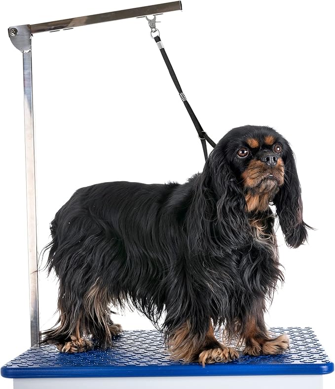 Pet Dog Grooming Loop, Nylon Restraint Noose Adjustable Fixed Dog Cat Safety Tether Straps Dog Grooming Supplies for Pet Grooming Table Bathtub - 6 Pack / 6 Color
