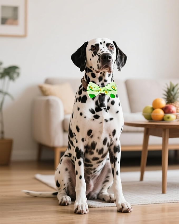 PET SHOW 10 Pack Fruit Big Dog Bow Ties for Large Medium Dogs Sliding Collar Attachments Strawberry Bowties Avocado Bowknots Holiday Party Pet Grooming Accessories(Large)