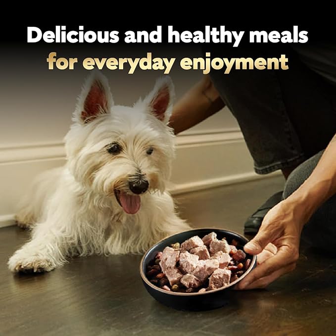 Cesar Wet Dog Food Classic Loaf in Sauce, Grilled Chicken Flavor and Top Sirloin Flavor, 3.5 oz. Easy Peel Trays, Variety Pack, 12 Count (Pack of 2)