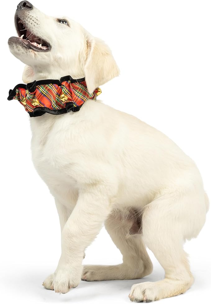 Huxley & Kent Ruff Pet Scrunchy | Shiny Christmas Plaid (Large) | Festive Christmas/Holiday Neckwear for Dogs/Cats | Fun Stretchable Costume Accessory | Soft Collar with Bells
