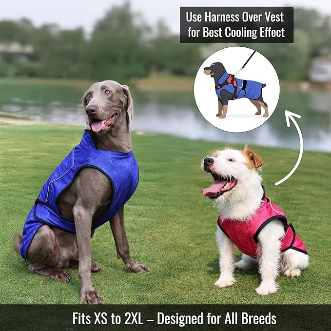 Dog Cooling Vest with Ice Pack – 2-Layer Evaporative Cooling Jacket with High Collar, UV Protection & Size-Matched Ice Pack – Cooling Vest for Dogs for Hot Weather (Blue Aqua, Medium)