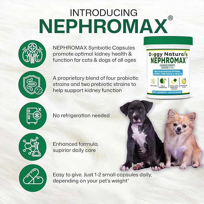 NEPHROMAXâ„¢ Kidney Support Supplement Synbiotic (360 Caps)