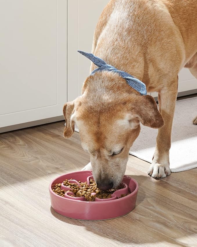 LE TAUCI Dog Slow Feeder Bowl,3 Cups Ceramic Maze Pattern for Large Breed,Bule and Pink