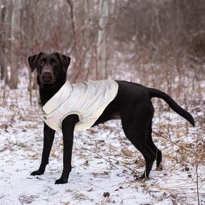 ASENKU Dog Winter Coat - Waterproof Windproof Dog Jacket, Warm Snowproof Doggie Puffer Vest for Cold Weather, Lightweight Snow Coats for Small Medium Large Dogs (Silver, 3XL)
