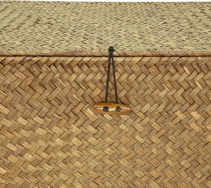 Shelf Storage Baskets with Lid, 2-Pack Wicker Storage Basket, Woven Seagrass Decorative Boxes, Coffee XXLarge+XXL