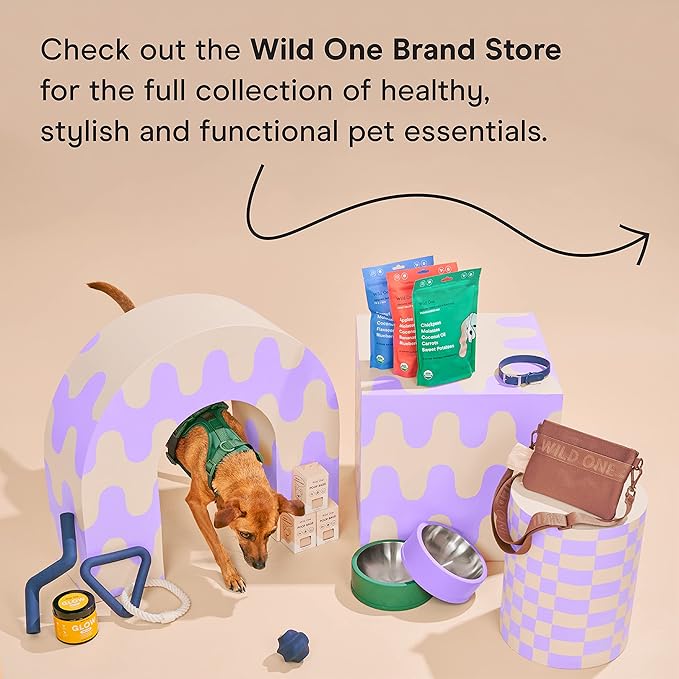 Wild One Twist Toss Dog Toy 100% Natural Rubber, Fun to Chew, Durable for Average Chewers, Fetch Toy, Treat Dispensing Pink