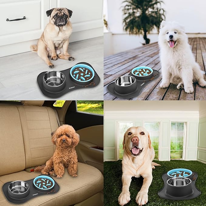 Slow Feeder Dog Bowls 3 in 1 Stainless Steel Food and Water Bowls with Non-Spill and Skid Silicone Mat to Slow Down Eating for Large Medium Small Breed Size Dogs and Cats