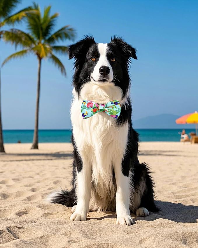 PET SHOW 10 Pack Summer Big Dog Bow Ties for Large Medium Dogs Sliding Collar Attachments Hawaiian Bowties Floral Fruit Bowknots Party Holiday Pet Grooming Accessories(Large)