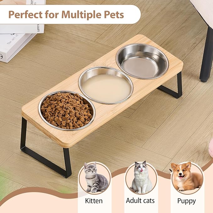 Elevated Cat Bowls for Cats and Puppies, Whisker-Friendly 15° Tilted Raised Cat Food Bowl, Anti-Vomiting Design with 3 Stainless Steel Dishes