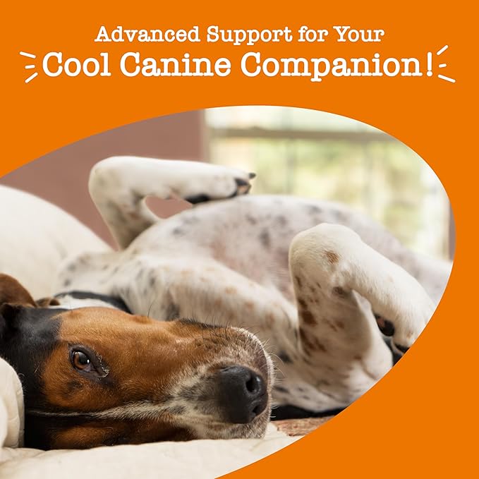 Zesty Paws Advanced Calming Soft Chews for Dogs - Composure & Relaxation for Everyday Stress & Separation + Thunderstorms - with Melatonin, Ashwagandha & L-Theanine - 90 Count