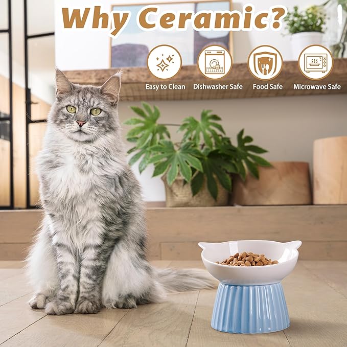 Ceramic Raised Cat Bowl,Tilted Raised Bowl Anti Vomit for Indoor Cats Whisker Friendly Pet Feeder for Cats Puppies, Microwave and Dishwasher Safe (Pink)