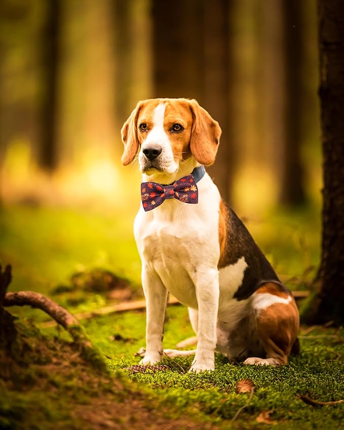 PET SHOW 10 Pack Fall Small Dog Bow Ties Sliding Collar Attachments Puppy Cats Autumn Bowties for Medium Dogs Pumpkin Maple Leaf Bowknots Holiday Party Pet Grooming Accessories(Small)