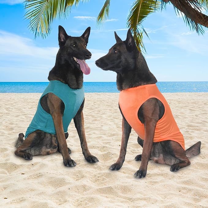 2 Pack Dog Shirts, Ice Pet Vest Dog Clothes for Instant Cooling, Lightweight Breathable Sleeveless T-Shirts for Large Dogs, Peacock Blue+OrangeRed (XL)