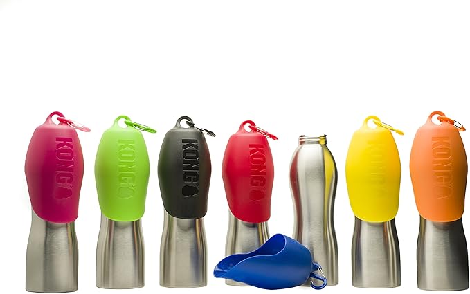 KONG H2O - Stainless Steel Dog Water Bottle - 25 oz - Blue