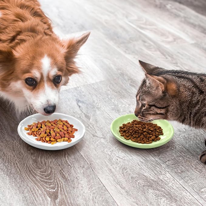 4 Pack Cat Food Bowl, Ceramic Cat Wet Food Bowls for Indoor Cats, Anti Whisker Fatigue Kitten Feeding Plate, Shallow Dog Dishes with Silicone Bottom for Puppy, Rabbit, Small Pet