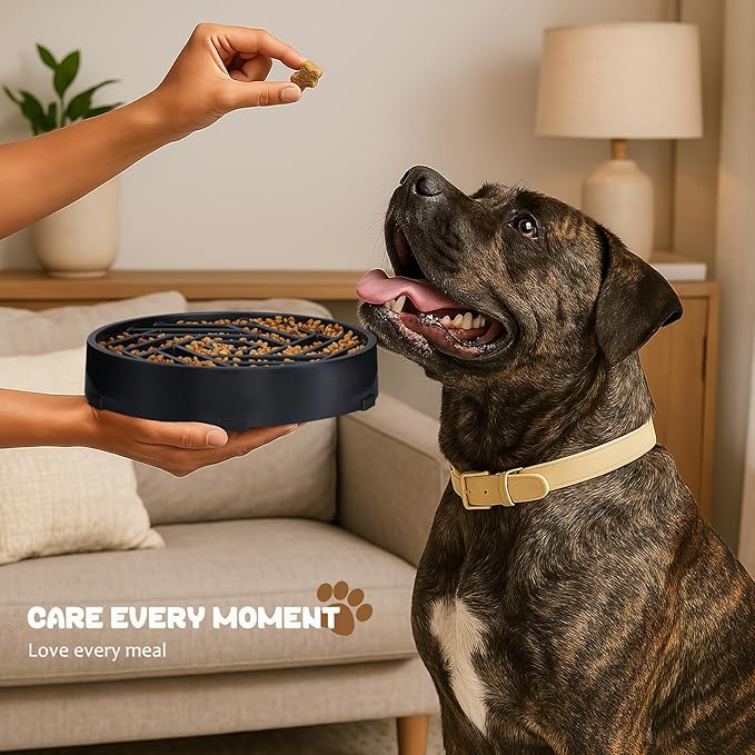 WHIPPY Slow Feeder Dog Bowl, Puzzle Maze Design to Slow Down Eating, 3-Cup Capacity, Anti-Gulping Food Bowl for Medium & Large Dogs,Blue