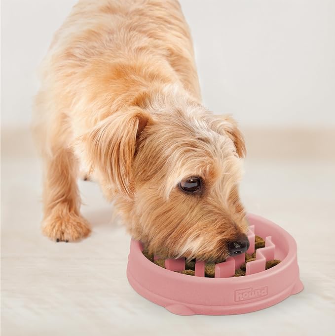 Outward Hound Fun Feeder Slo Bowl – Small 3/4-Cup Capacity, Slow Feeding, Small Dogs, Puppies & Cats, Non-Slip, Pink, Wave Pattern