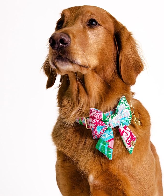 Lilly Pulitzer Pet Bow, Dog Bow Tie with Gold Logo Emblem, Elastic Collar Attachment, Durable Polyester, Easy to Clean, Stylish Pet Accessory (Crazy Quilt Home)