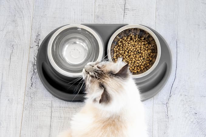 Ubbi Pet Feeding Bowls Set with Non-Slip Mat, Elevated & Flat Stainless Steel Dog or Cat Bowls, Ergonomic 15° Angled Feeder, Dishwasher Safe, Charcoal Gray