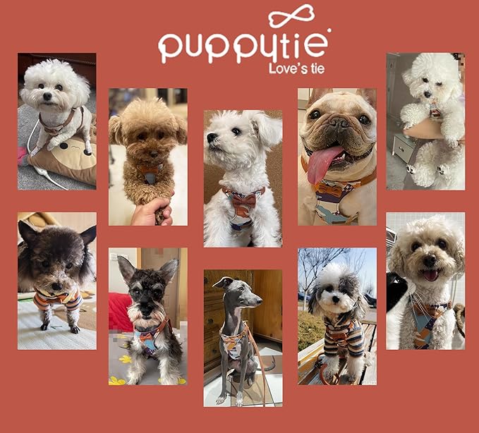 Puppytie No Pull Dog Harness with Multifunction Dog Leash,Soft Adjustable No Choke Escape Proof Pet Harness Vest for Medium Dogs,Suede Bow Brown,M