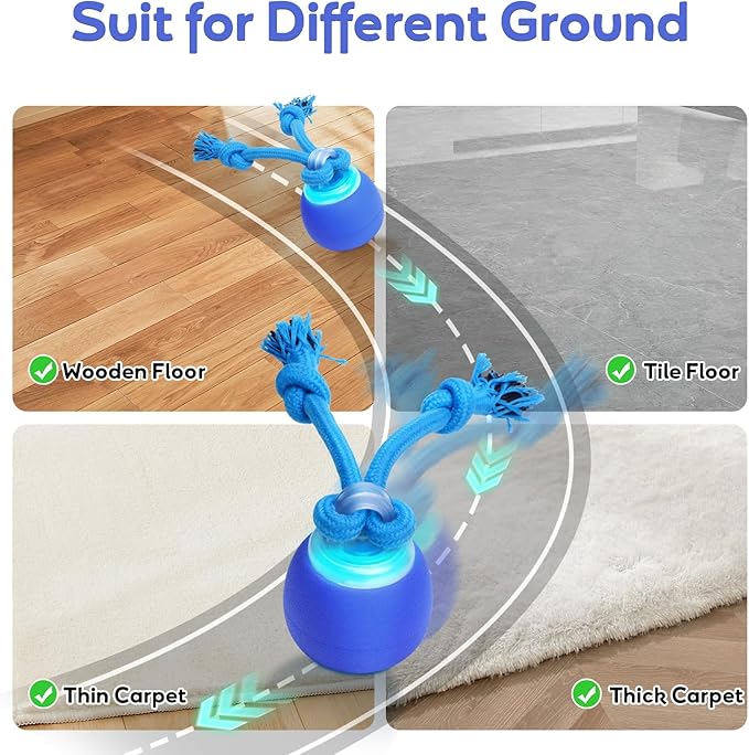 Interactive Dog Toys to Keep Them Chase Busy Buddy Doggie Ball for Small Puppy(Blue)