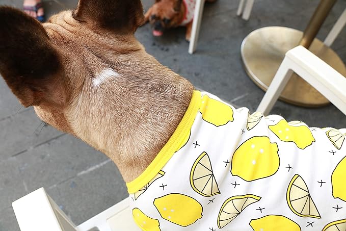 iChoue 100% Breathable Cotton Pug Halloween Cartoon T Shirts Cute Clothes for Dogs Vest Tank Tops Puppy French Bulldog Frenchie English Boston Terrier Lemon - Small