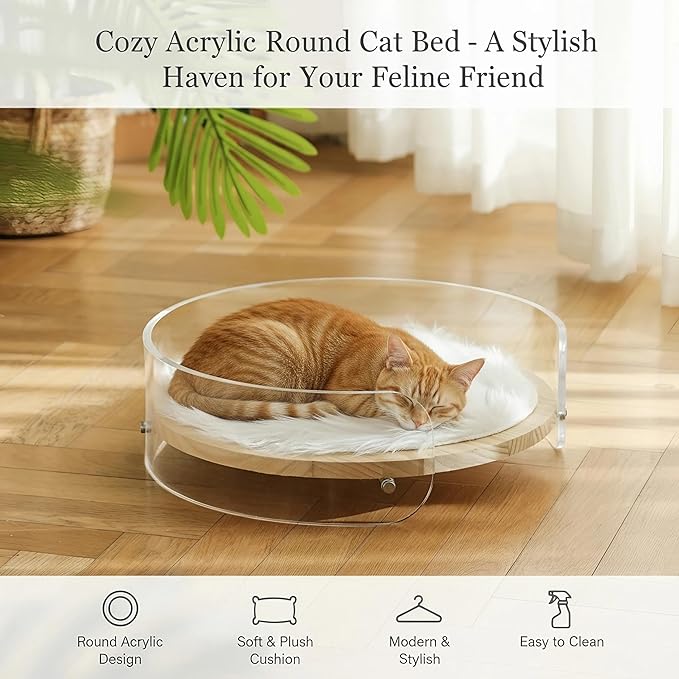 Modern Clear Acrylic Pet Bed ,cat beds for Indoor Cats,cat Bed - Contemporary pet Furniture, Comfortable pet Bed and Sofa for Small Dogs, Indoor pet Bed