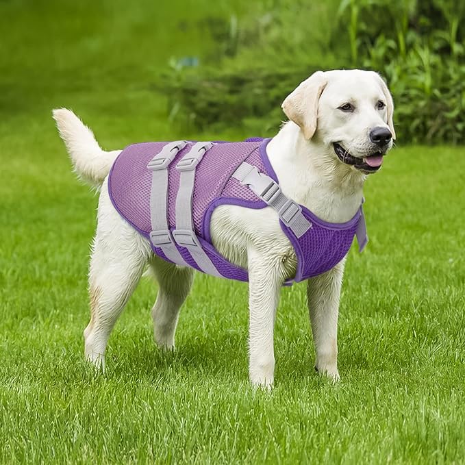 Kuoser Dog Cooling Vest Harness, Medium Dog Cooler Jacket, UV Protection Shirt with Leash Hole, Adjustable Fit Pet Harness for Outdoor Beach, Hiking, Walking Purple L