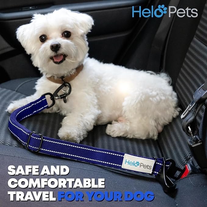 Dog Car Seat Belt 3-in-1 Adjustable Safety Seatbelt for Dogs in Car – Durable Extra Thick Nylon Webbing Bungee with Hook & Buckle Latch, Reflective Dog Harness (Blue).