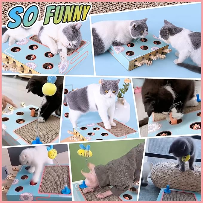 Enrichment Toys for Indoor Cats with cat Scratching pad, Cat Cardboard Box to Make Lots of Fun, cat Interactive Toy to Relieve Boredom and Train IQ