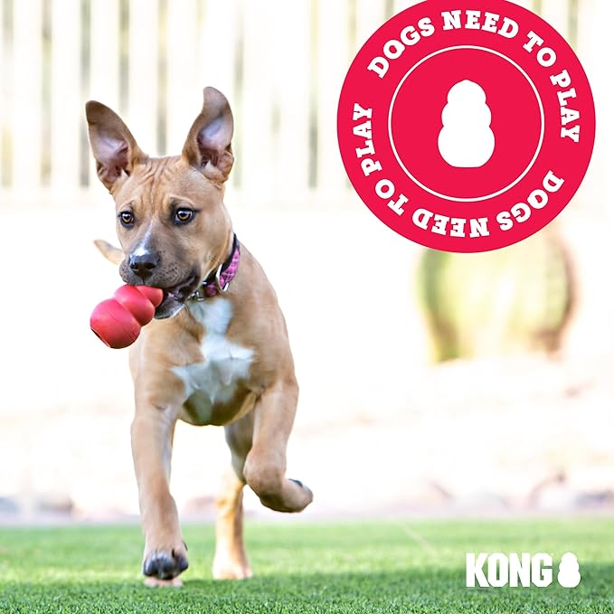 KONG Extreme Dog Toy - Fetch & Chew Toy - Treat-Filling Capabilities & Erratic Bounce for Extended Play Time Most Durable Natural Rubber Material - for Power Chewers - for X-Large Dogs (Pack of 2)