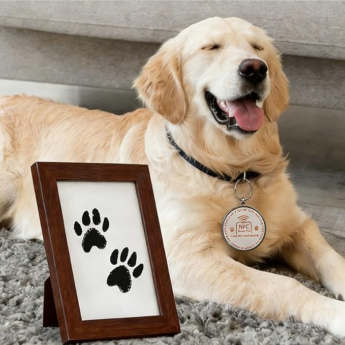 AiVIE Dog Gift Basket | 10pcs Puppy Starter Kit, New Pup Starter Gifts with Interactive Toys, Perfect Doggie Birthday Gifts with Chew Toy, Ready-to-Give Gift Doggie Necessities for New Puppy Parents