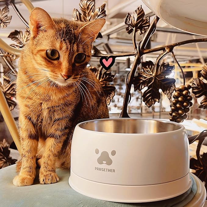 PAWGETHERยฎ Stainless Steel Dog Bowls, Dog Food Water Bowl with Non-Slip Base Two-Piece Design Easy Clean Dishwasher Safe Navy Blue 34oz + 12oz