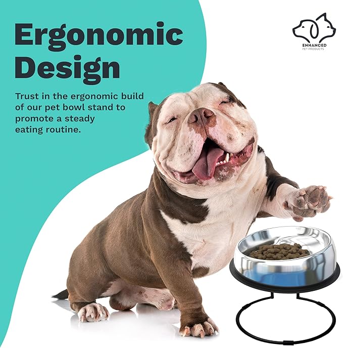 Small Bowl + Stand - 1 Enhanced Pet Bowl (Small) & 1 Small Stand for Enhanced Pet Bowl Flat-Faced Dog Breeds Vet Approved - Non-Slip Slanted with Ridge - Less Mess, Less Gas and Better Digestion