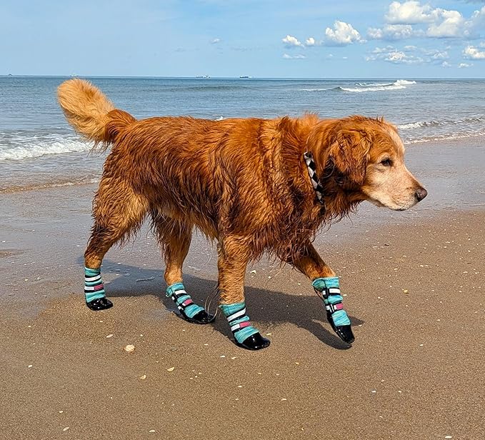 All Weather Neoprene Paw Protector Dog Boots with Reflective Straps in 5 Sizes! (Turquoise Large)