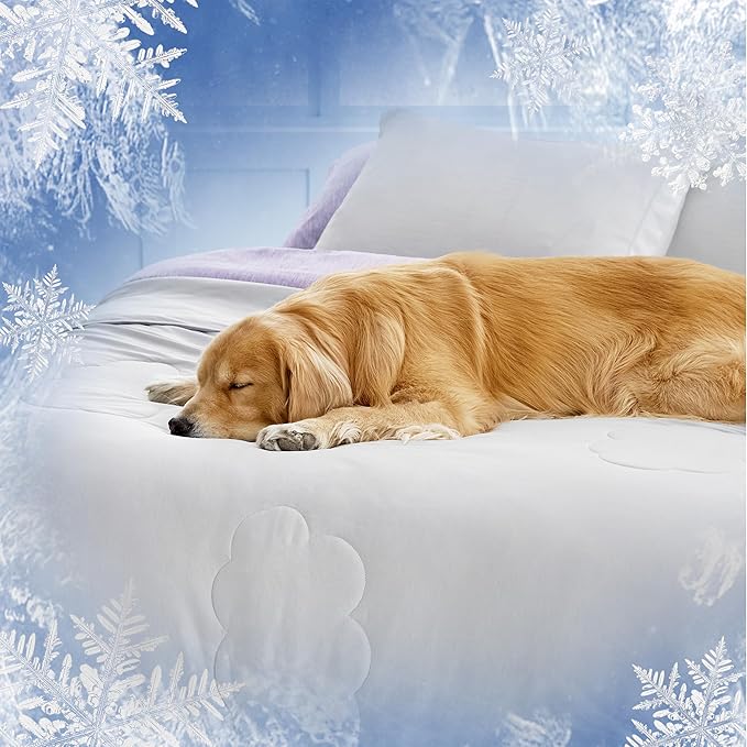 LE SURE Premium Dog Cooling Blanket for Bed - Washable Pet Throw Blanket with Q-MAX>0.4 for Summer,Soft Cat Cooling Mat, Furniture Protector, 60x80