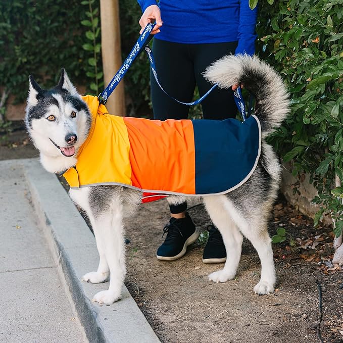 Eddie Bauer E23210XS Ravenna Colorblocked Dog Windbreaker Jacket in Extra Small, Orange and Blue