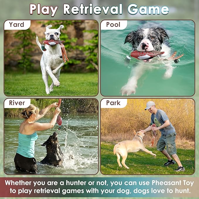 Saillong 2 Pack Pheasant Dog Toy, Bird Duck Dog Training Supplies, Hunting Dog Training Dummy Launcher Dog Training, Retriever Training Floating Dead Fowl Trainer Pheasant for Dog Training