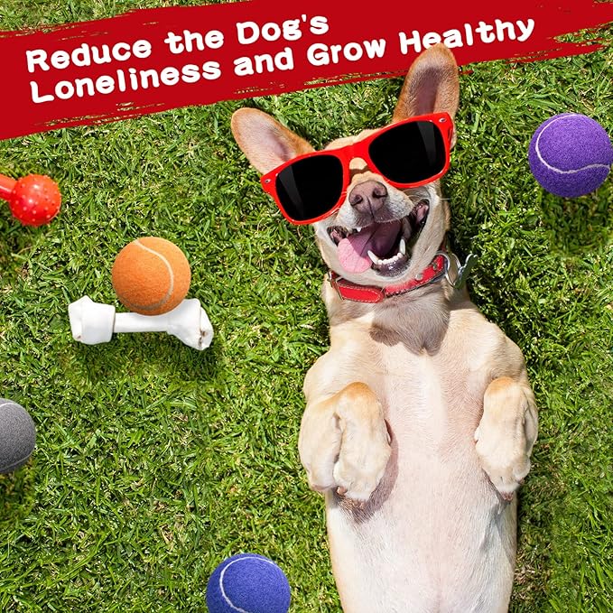 Yunsailing 45 Pcs Dog Tennis Balls Bulk 2.5 Inch Tennis Balls for Dogs Colored Mini Pet Toy Bulk for Large Medium Small Puppy Training Exercis