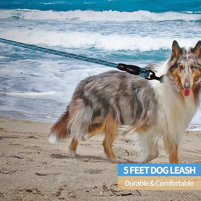 BAAPET 2/4/5/6 FT Dog Leash with Comfortable Padded Handle and Highly Reflective Threads for Small Medium and Large Dogs (5FT-1/2'', Black Blue)